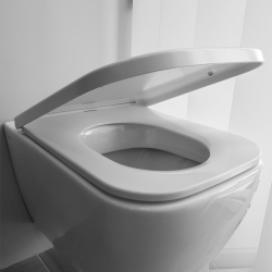 Capace obiecte sanitare