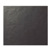 Black Gloss