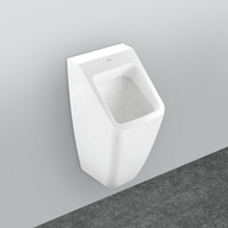 Pisoar Villeroy & Boch, Architectura, alb alpin 