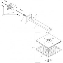 Cap de dus cu brat, Hansgrohe, Raindance E 300, auriu lucios